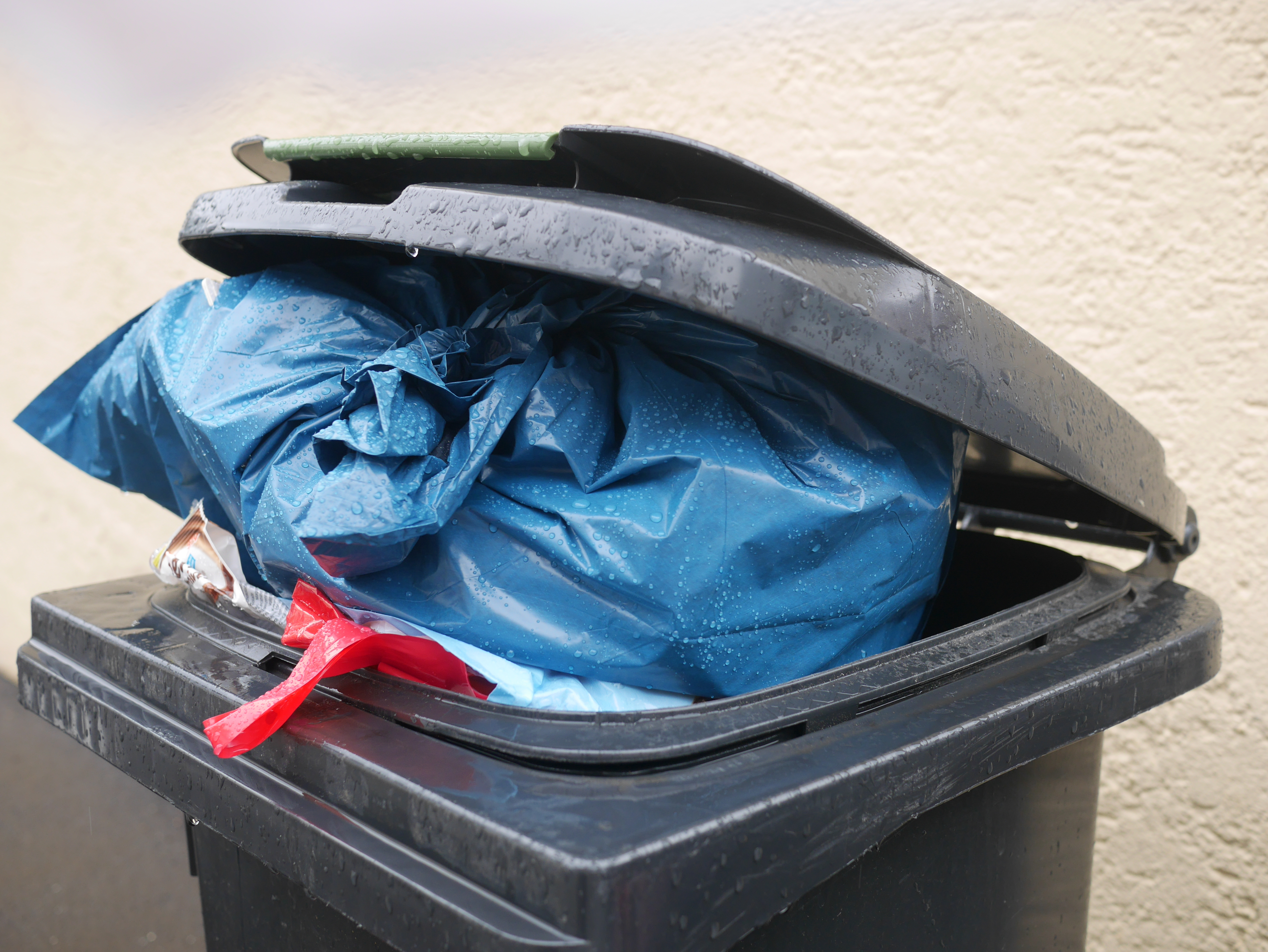 Woman left trapped in home because of poor council assisted bin collection service