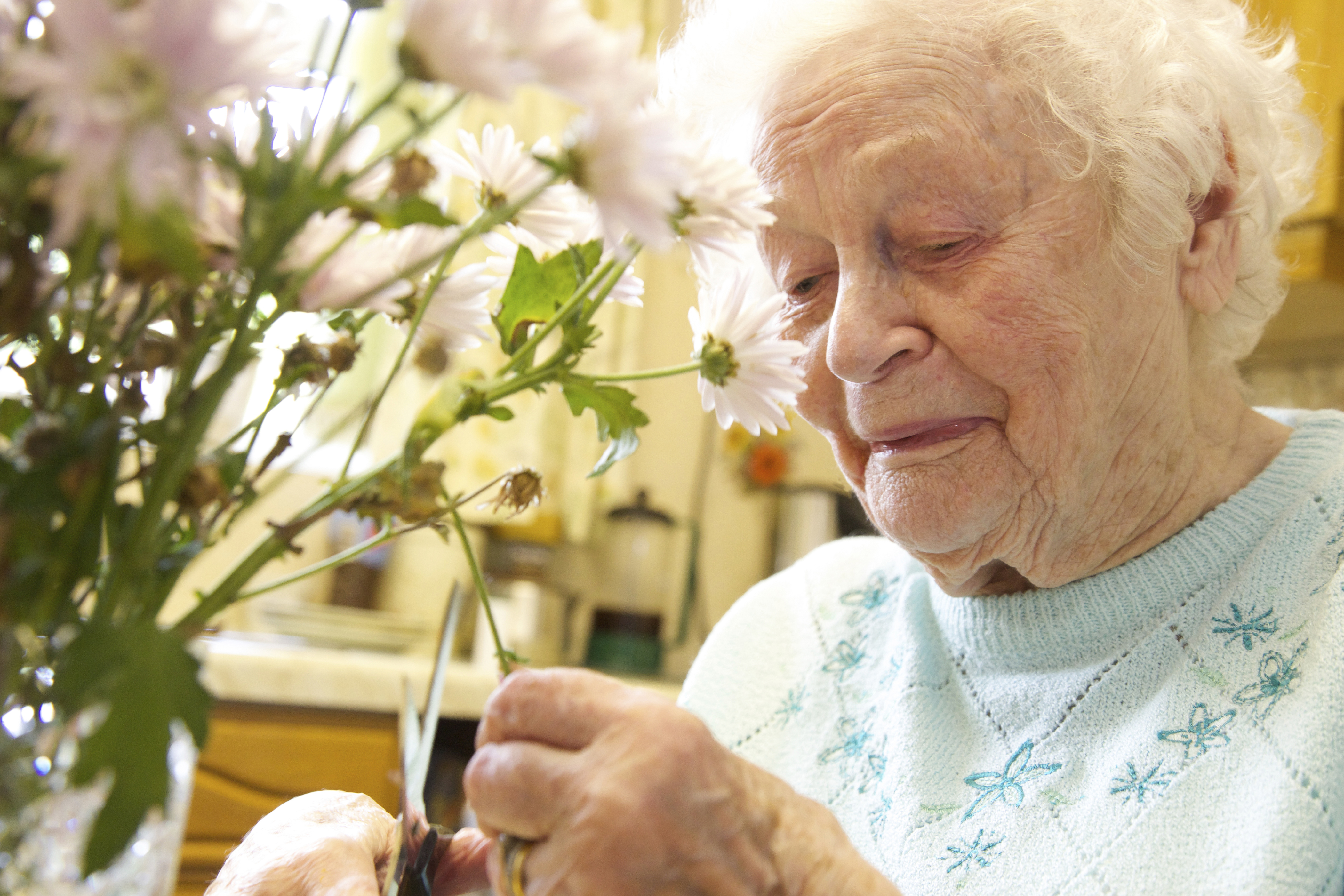 PIC - Elderly lady flower arranging
