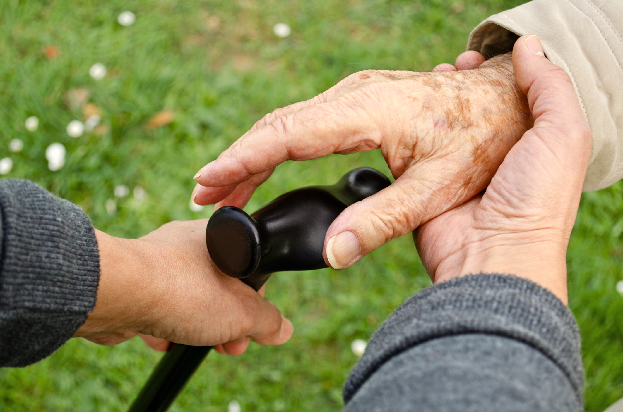 PIC - Senior hands with walking stick