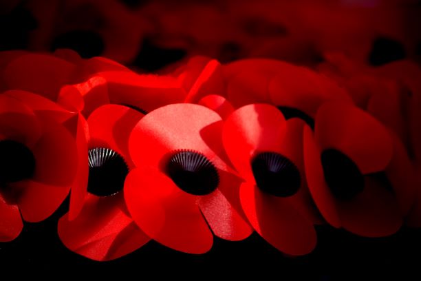 Close up of a poppy wreath